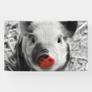 Sweet piglet banner