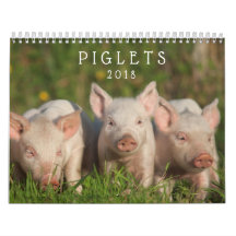 Sweet Piglets 2018 - Baby Pigs Wall Calendar