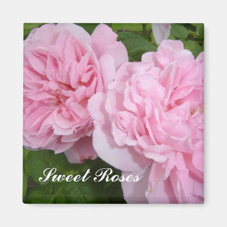 Sweet Pink Roses Magnet