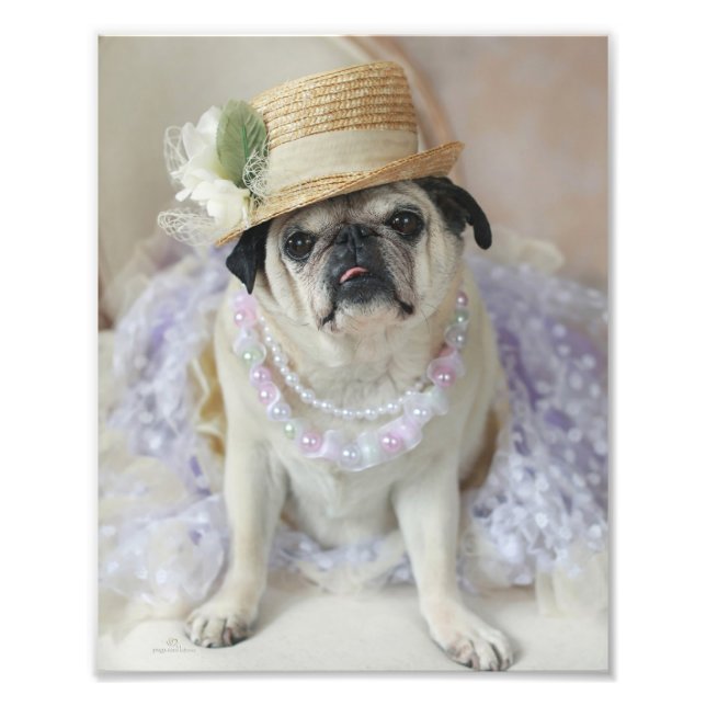 Sweet Pug in Straw Hat Print (Front)