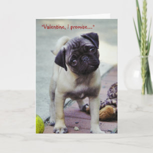 Sweet Pug Puppy Valentine #1 Greeting Card