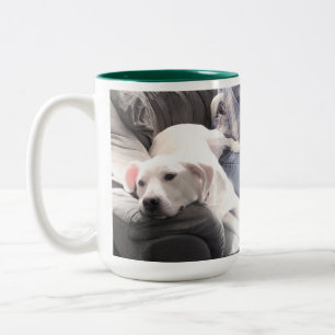 Sweet Puppy Dog on Couch With Dad Father's Day  Two-Tone Coffee Mug