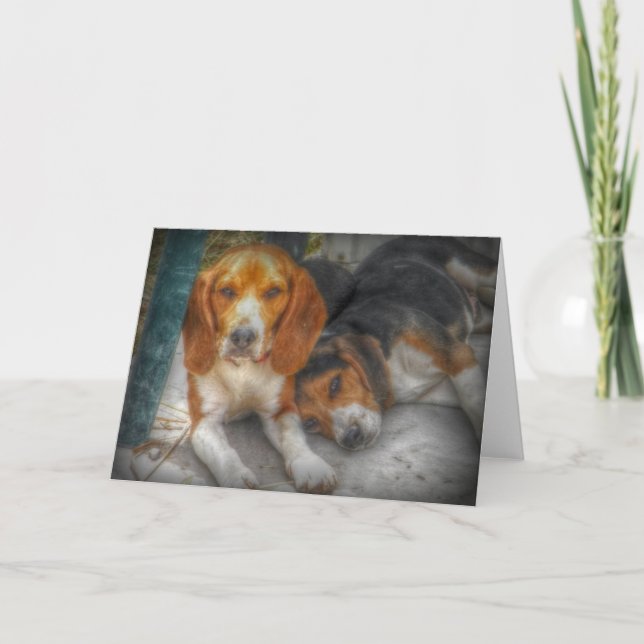 Sweet Puppy Friendship Pet Lover Card (Front)