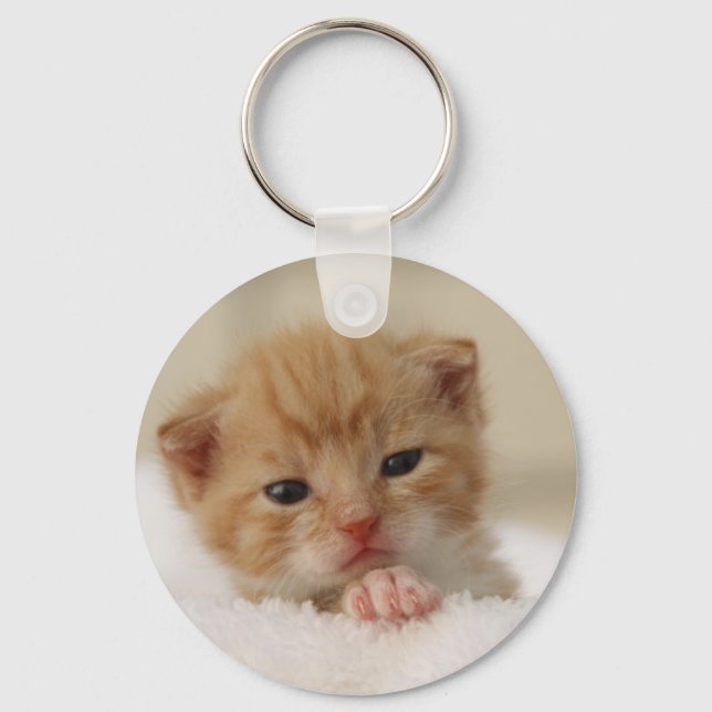 Sweet puppy kitty keychain (Front)