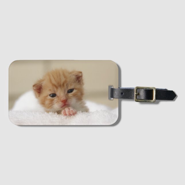 Sweet puppy kitty luggage tag (Front Horizontal)