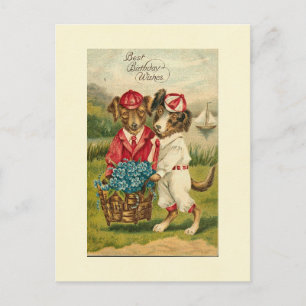 Sweet Pups Best Birthday Wishes Postcard