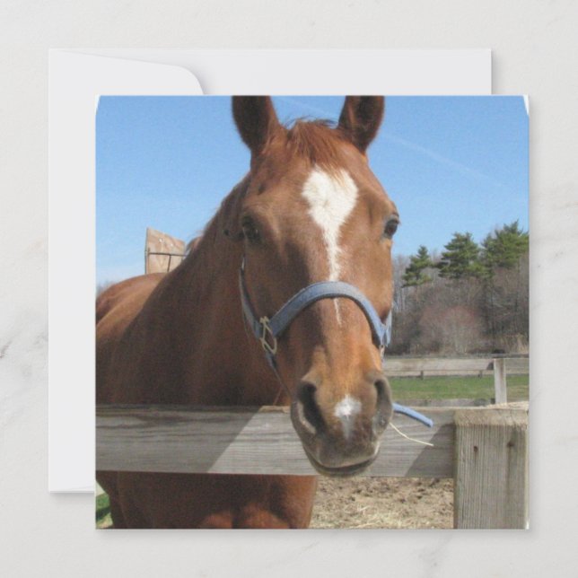 Sweet Quarter Horse Invitations (Front)