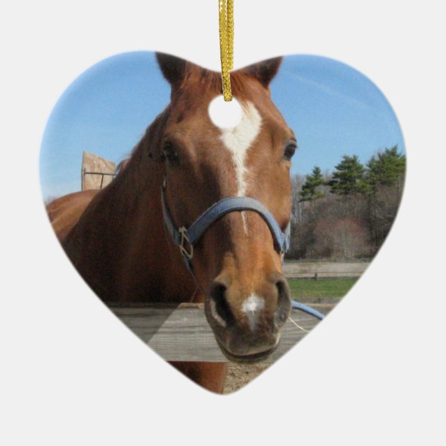 Sweet Quarter Horse Ornament (Front)