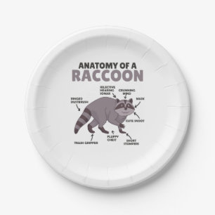 Sweet Raccoon Explanation Anatomy Of A Raccoon Paper Plate