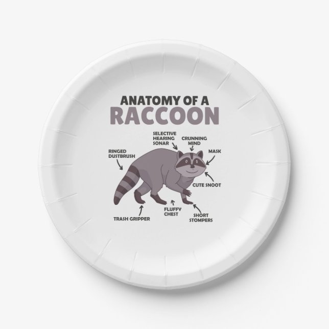Sweet Raccoon Explanation Anatomy Of A Raccoon Paper Plate (Front)