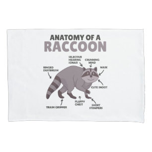 Sweet Raccoon Explanation Anatomy Of A Raccoon Pillowcase