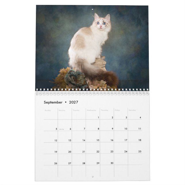 Sweet Ragdoll Kittens Calendar (Sep 2027)