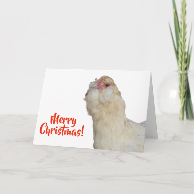 Sweet Rare Wheaten Ameraucana Hen Merry Christmas Card (Front)