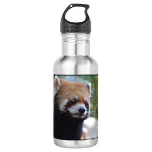 Sweet Red Panda Bear 532 Ml Water Bottle