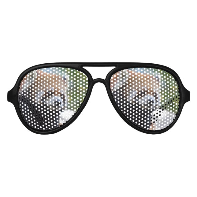 Sweet Red Panda Bear Aviator Sunglasses (Front)