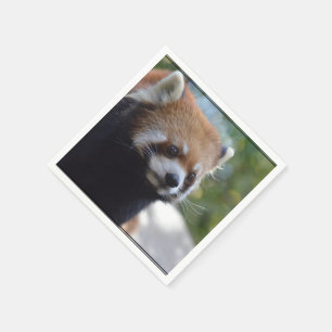 Sweet Red Panda Bear Napkin