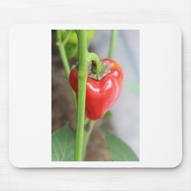 Sweet Red Pepper Mouse Pad (Front)