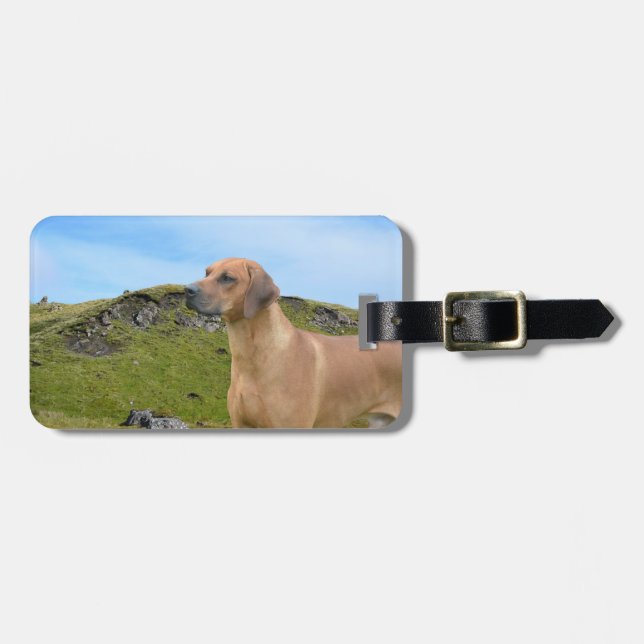 Sweet Rhodesian Ridgeback Dog Luggage Tag (Front Horizontal)