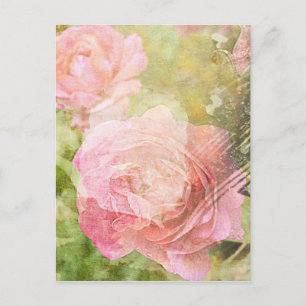 Sweet Roses Postcard