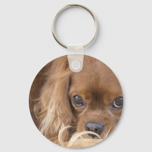 Sweet Ruby Cavalier King Charles Spaniel Keychain