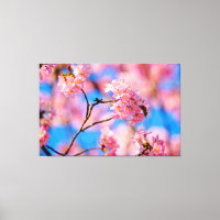 Sweet Sakura Flowers On A Sunny Day Of Spring