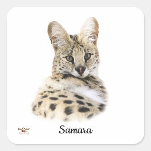 Sweet Samara Square Sticker