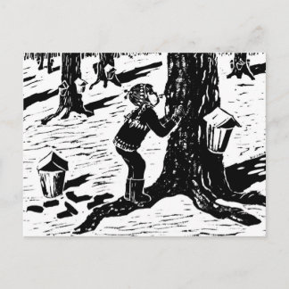 Sweet Sap Postcard