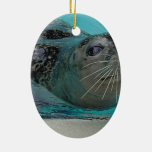 Sweet Seal Ceramic Ornament