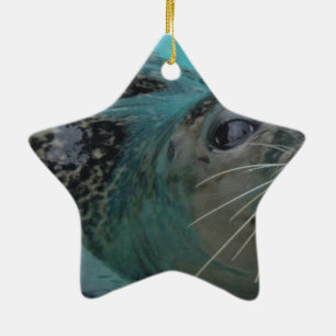 Sweet Seal Ceramic Ornament