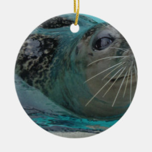 Sweet Seal Ceramic Ornament