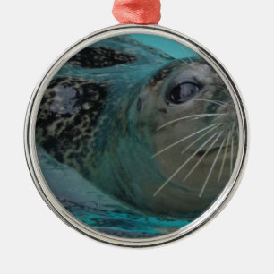 Sweet Seal Metal Ornament