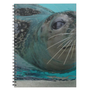Sweet Seal Notebook
