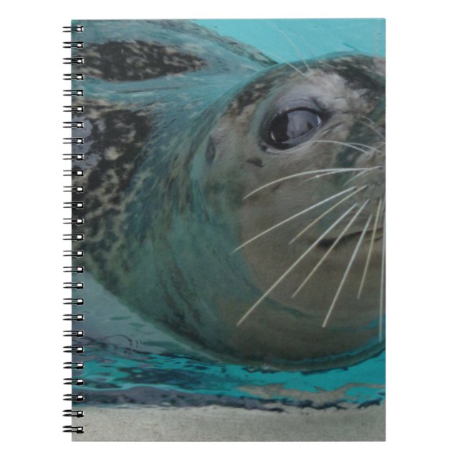 Sweet Seal Notebook (Front)