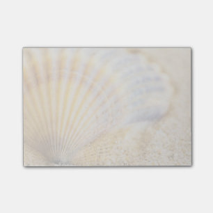 Sweet Seashell Post-it Notes