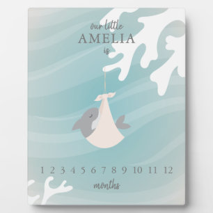 Sweet Shark Baby Milestone Plaque