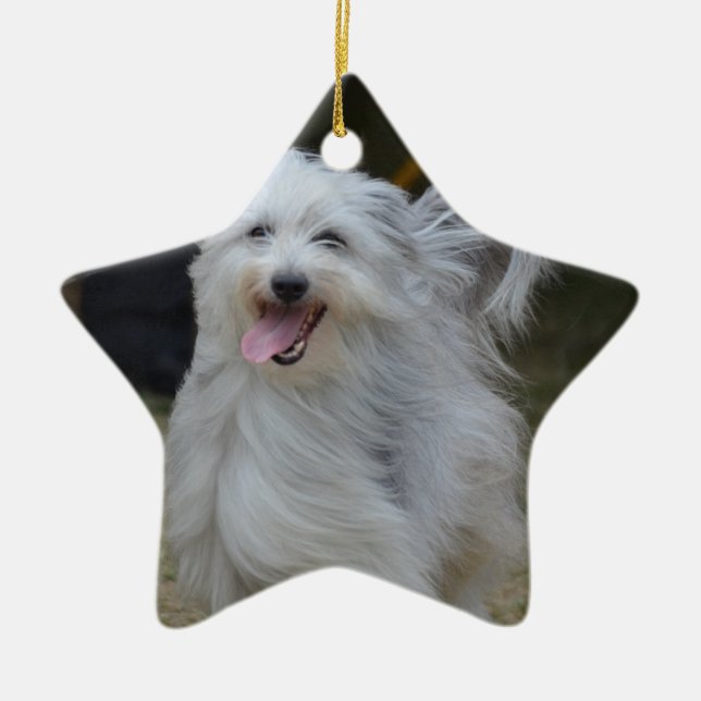 Sweet Sheepdog Ceramic Ornament (Front)
