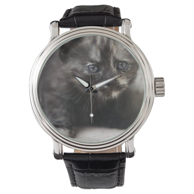 Sweet Shy Tortoiseshell Baby Watch (Front)