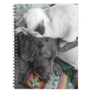 Sweet Siamese Kitten Lies On Labrador's Head Notebook