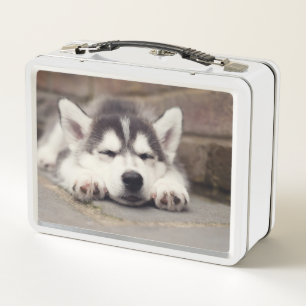 Sweet Siberian Husky Puppy Sleeping Metal Lunch Box