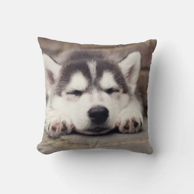 Sweet Siberian Husky Puppy Sleeping Throw Pillow (Front)