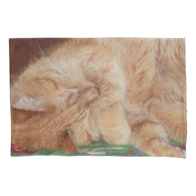 Sweet Sleeping Ginger Boy Pillowcase (Front)