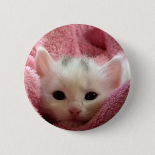 Sweet soft kitty 2 inch round button
