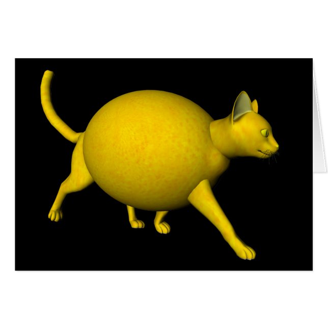 Sweet-Sour Lemon Cat (Front Horizontal)