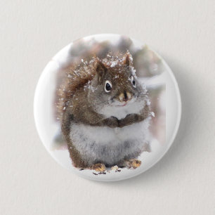 Sweet Squirrel 2 Inch Round Button