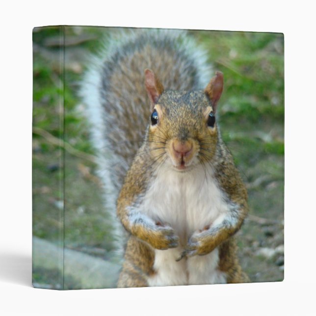 Sweet Squirrel Face Binder (Front/Spine)