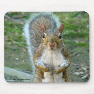 Sweet Squirrel Face Mouse Pad