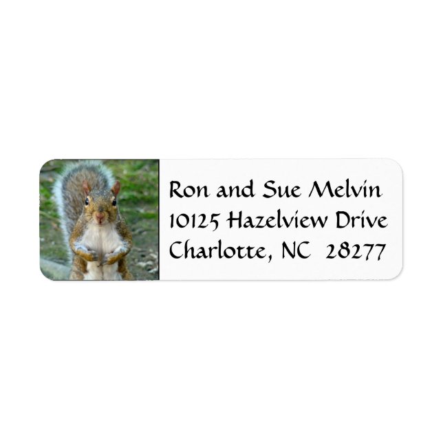 Sweet Squirrel Face Return Address Labels (Front)