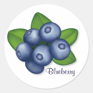 Sweet Summer Blueberry Fruit Classic Round Sticker