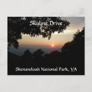Sweet Sunset Postcard