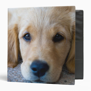 Sweet, Sweet Puppy Binder
